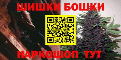 индика Мариинск