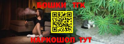 индика Мариинск