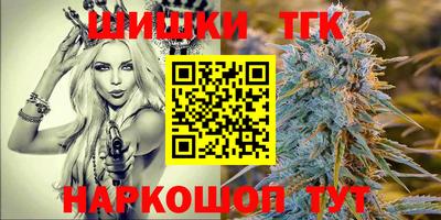 индика Мариинск