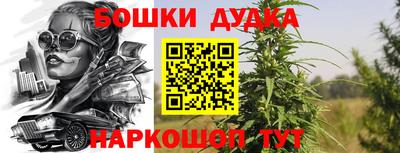 индика Мариинск