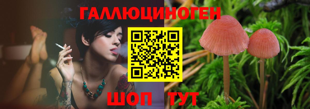 Псилоцибиновые грибы Magic Shrooms Тайшет
